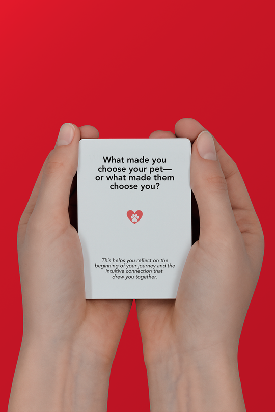 The Legacy Card Deck Pet Loss Edition