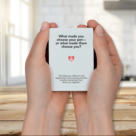 Legacy Pet Loss Card Deck : Honor the Love You Shared
